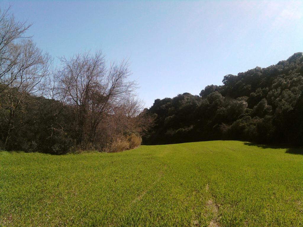 Masseria Strada Agriturismo Ginosa Ngoại thất bức ảnh